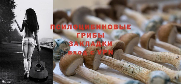 мдма Богданович