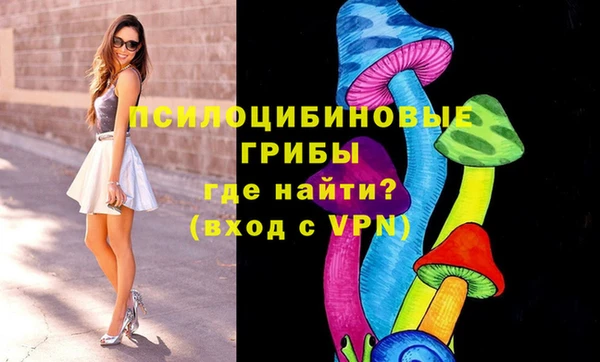 тгк Ивангород