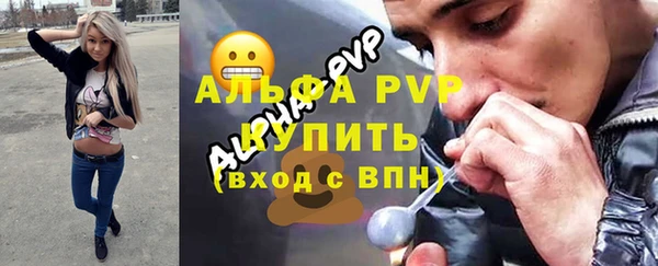 ECSTASY Богородск