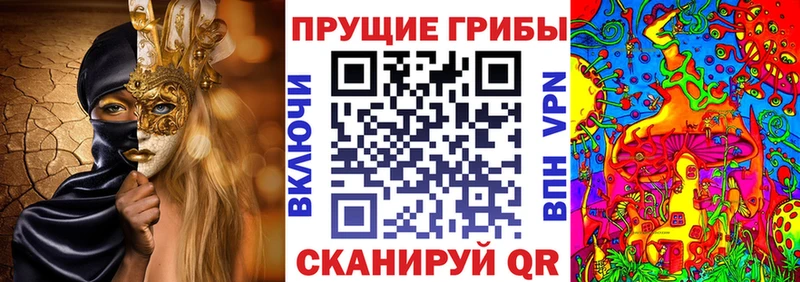 Псилоцибиновые грибы мухоморы  купить  сайты  Котлас 